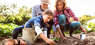 photo of family working in garden - links to investment management page